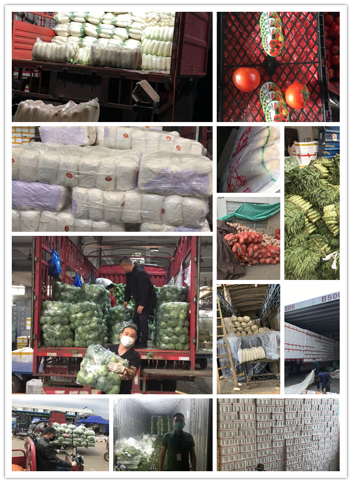 南宫电竞-不凡成就非凡,相信品牌的力量