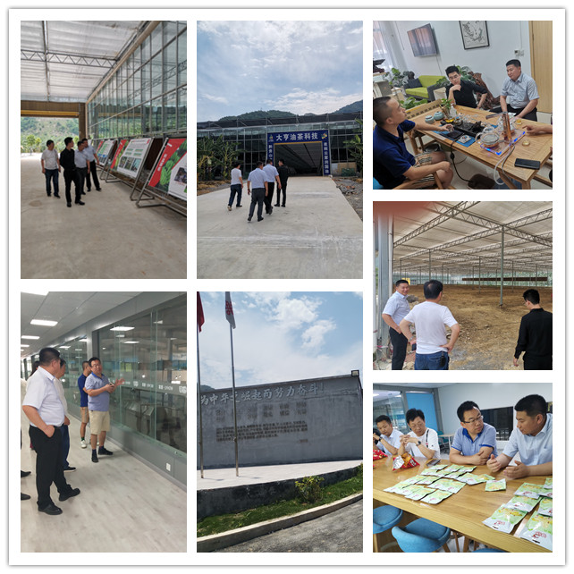 南宫电竞-不凡成就非凡,相信品牌的力量