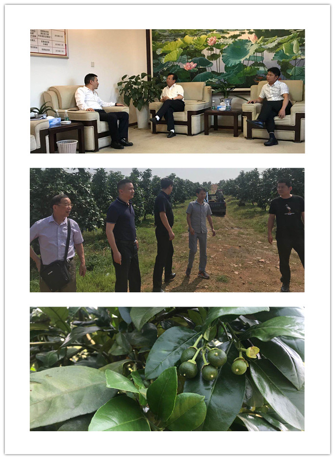 南宫电竞-不凡成就非凡,相信品牌的力量