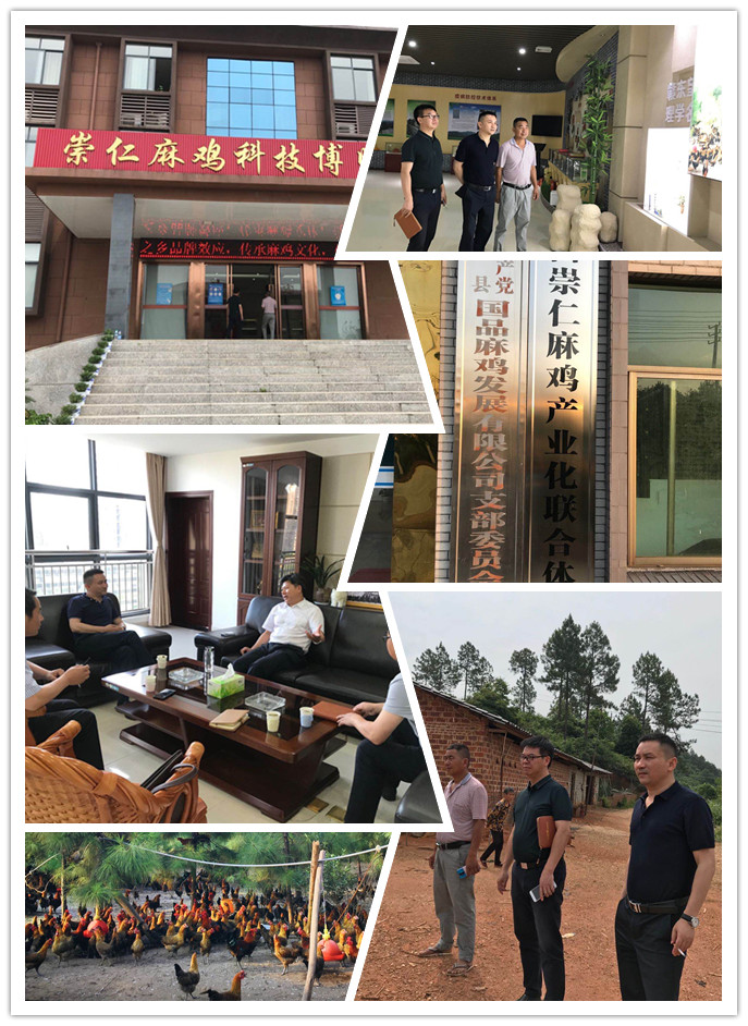 南宫电竞-不凡成就非凡,相信品牌的力量