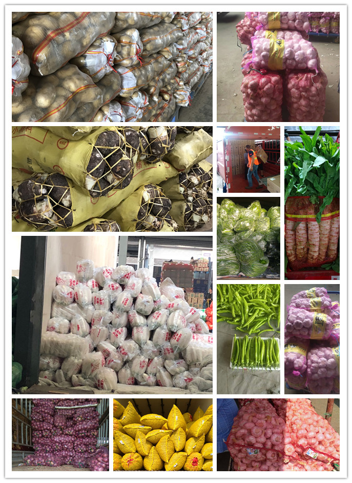 南宫电竞-不凡成就非凡,相信品牌的力量