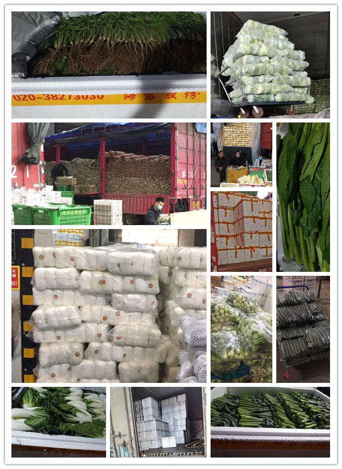 南宫电竞-不凡成就非凡,相信品牌的力量