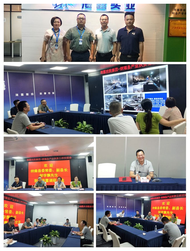 南宫电竞-不凡成就非凡,相信品牌的力量
