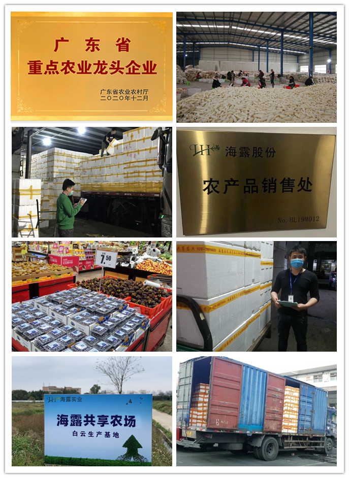 南宫电竞-不凡成就非凡,相信品牌的力量