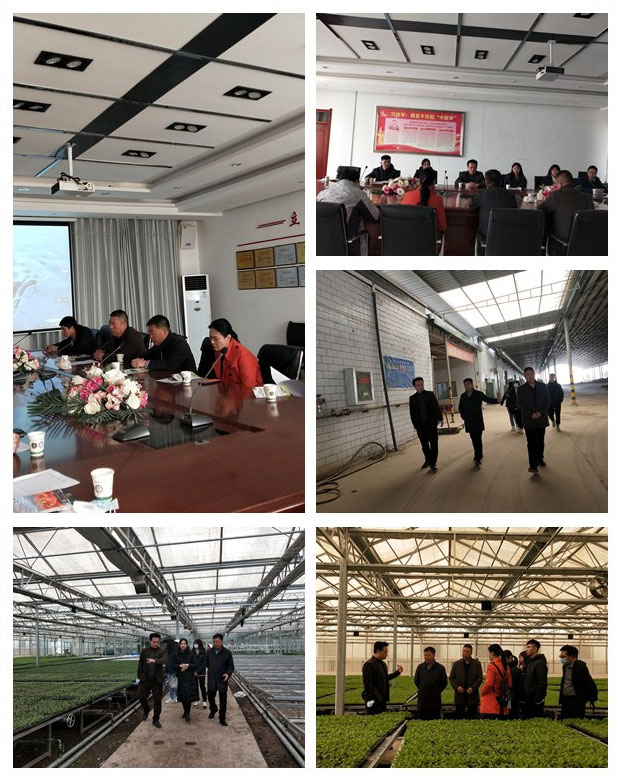 南宫电竞-不凡成就非凡,相信品牌的力量