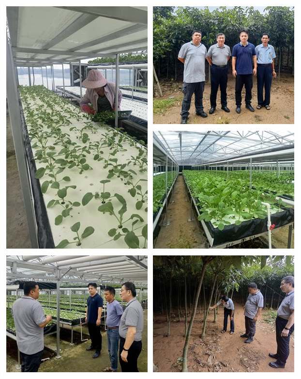 南宫电竞-不凡成就非凡,相信品牌的力量