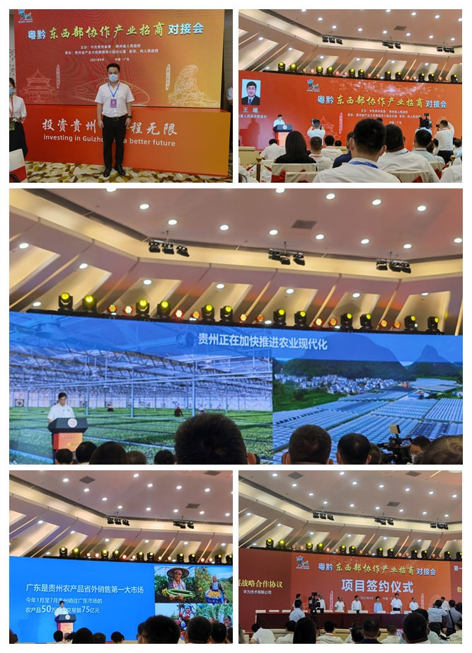 南宫电竞-不凡成就非凡,相信品牌的力量
