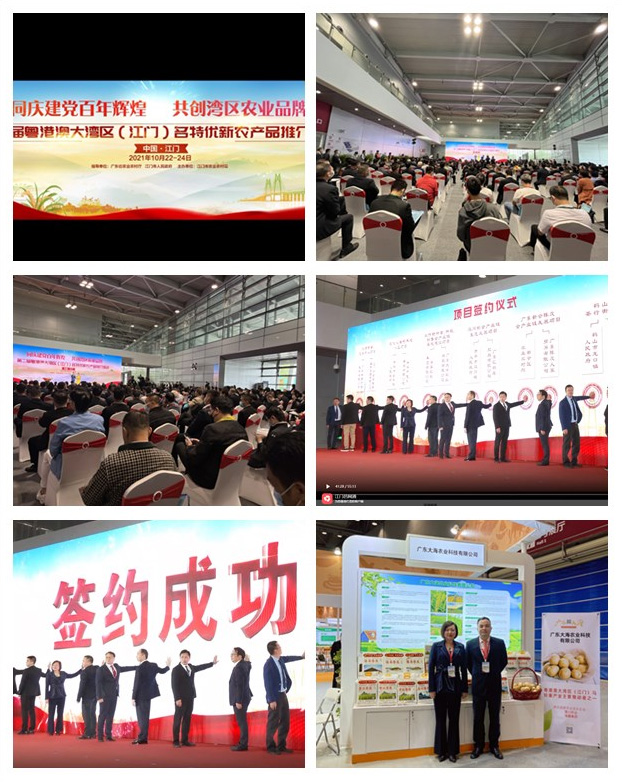 南宫电竞-不凡成就非凡,相信品牌的力量