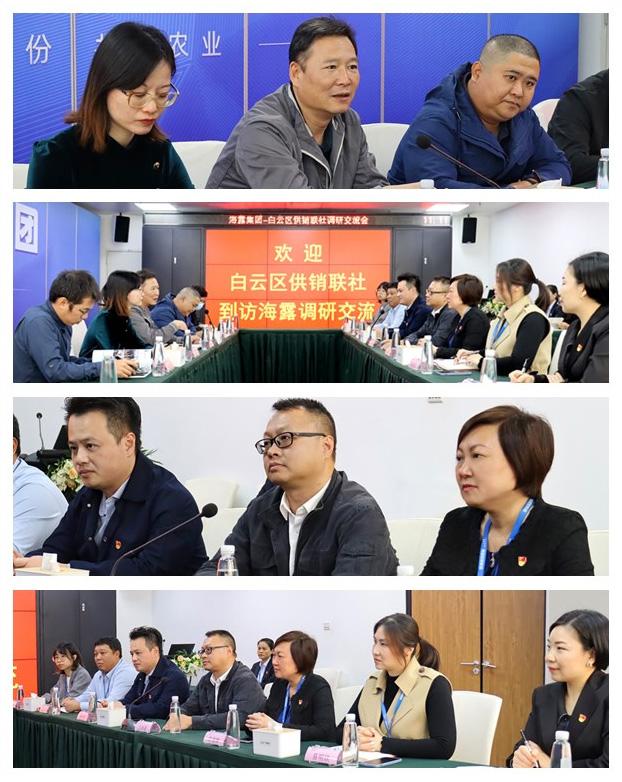 南宫电竞-不凡成就非凡,相信品牌的力量
