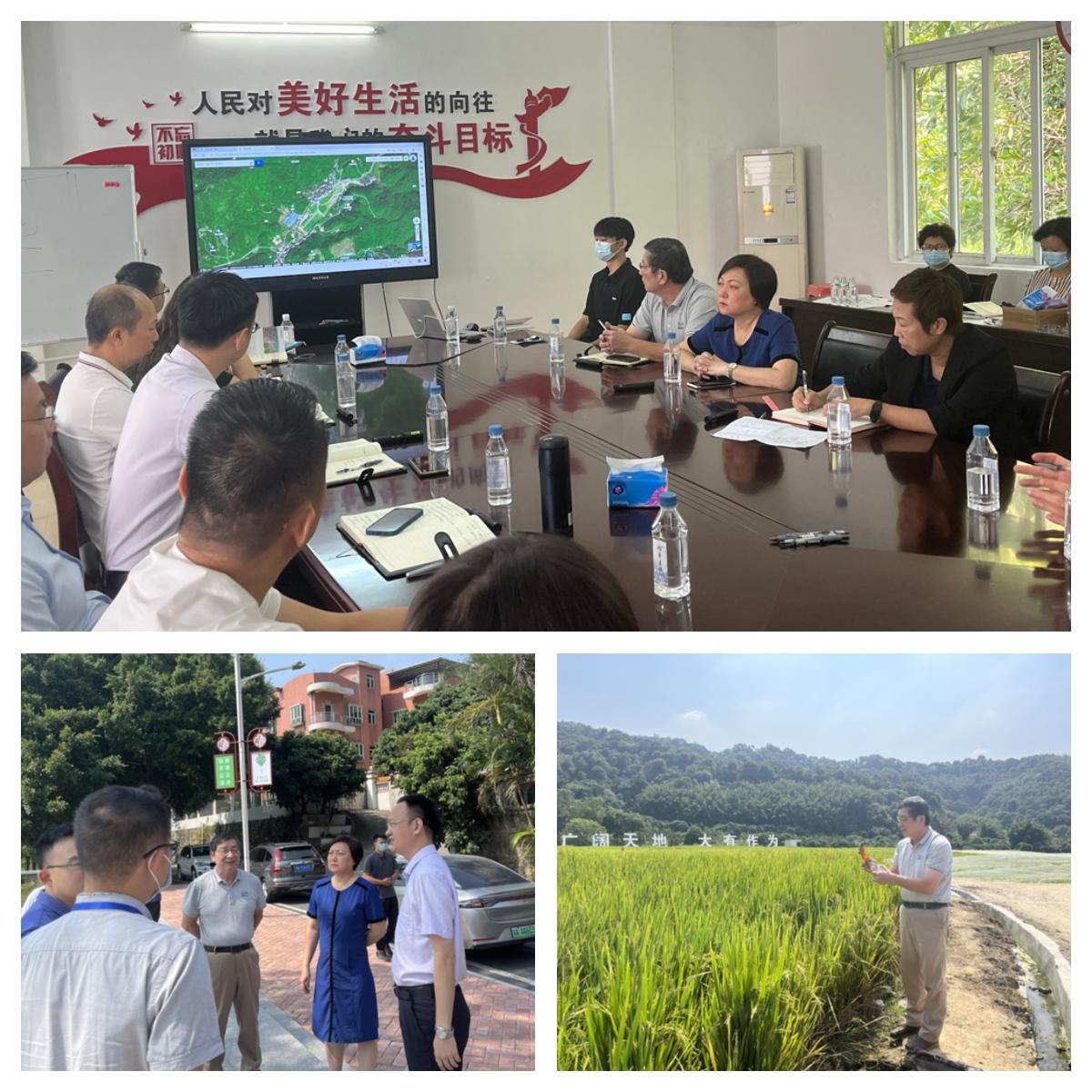 南宫电竞-不凡成就非凡,相信品牌的力量