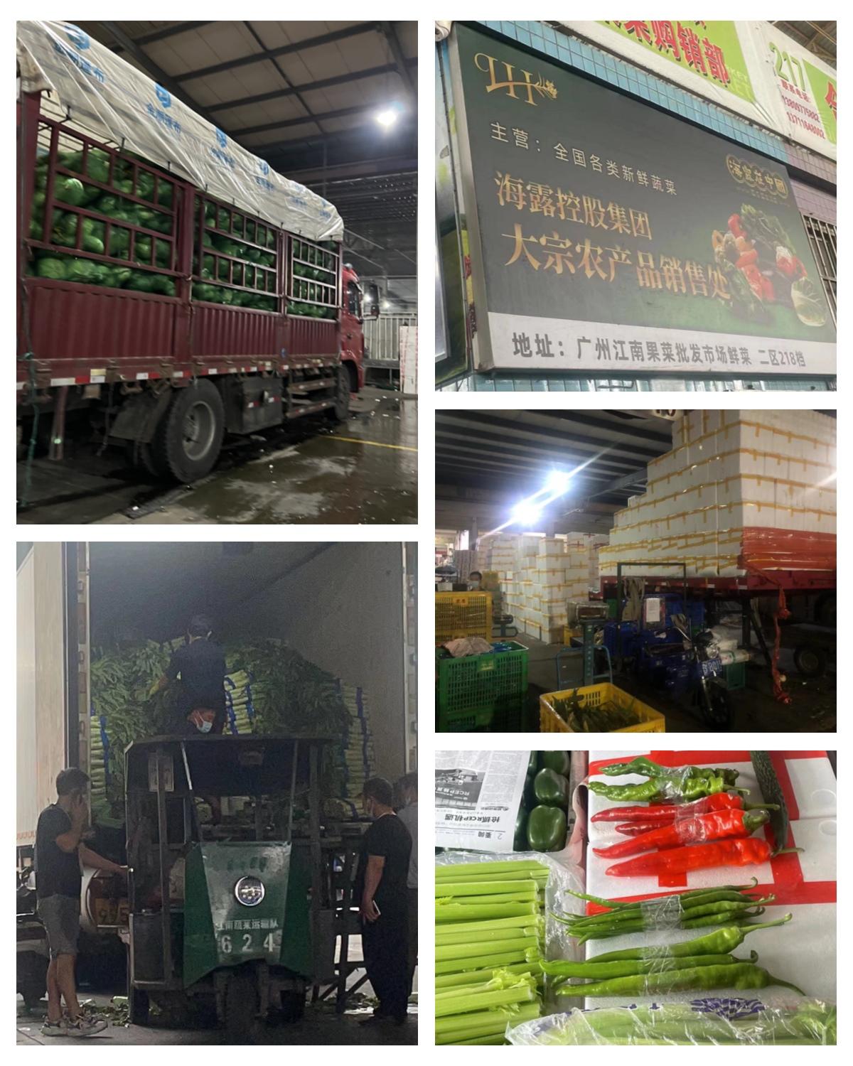 南宫电竞-不凡成就非凡,相信品牌的力量