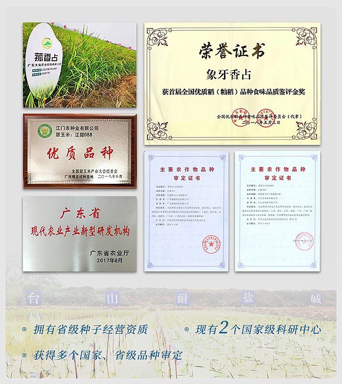 南宫电竞-不凡成就非凡,相信品牌的力量