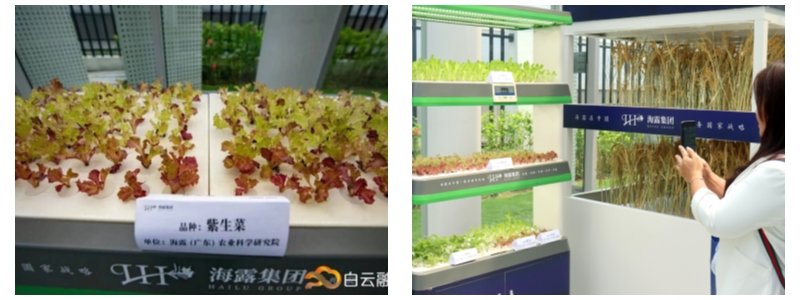 南宫电竞-不凡成就非凡,相信品牌的力量