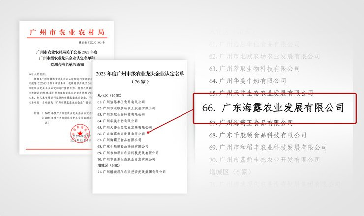 南宫电竞-不凡成就非凡,相信品牌的力量