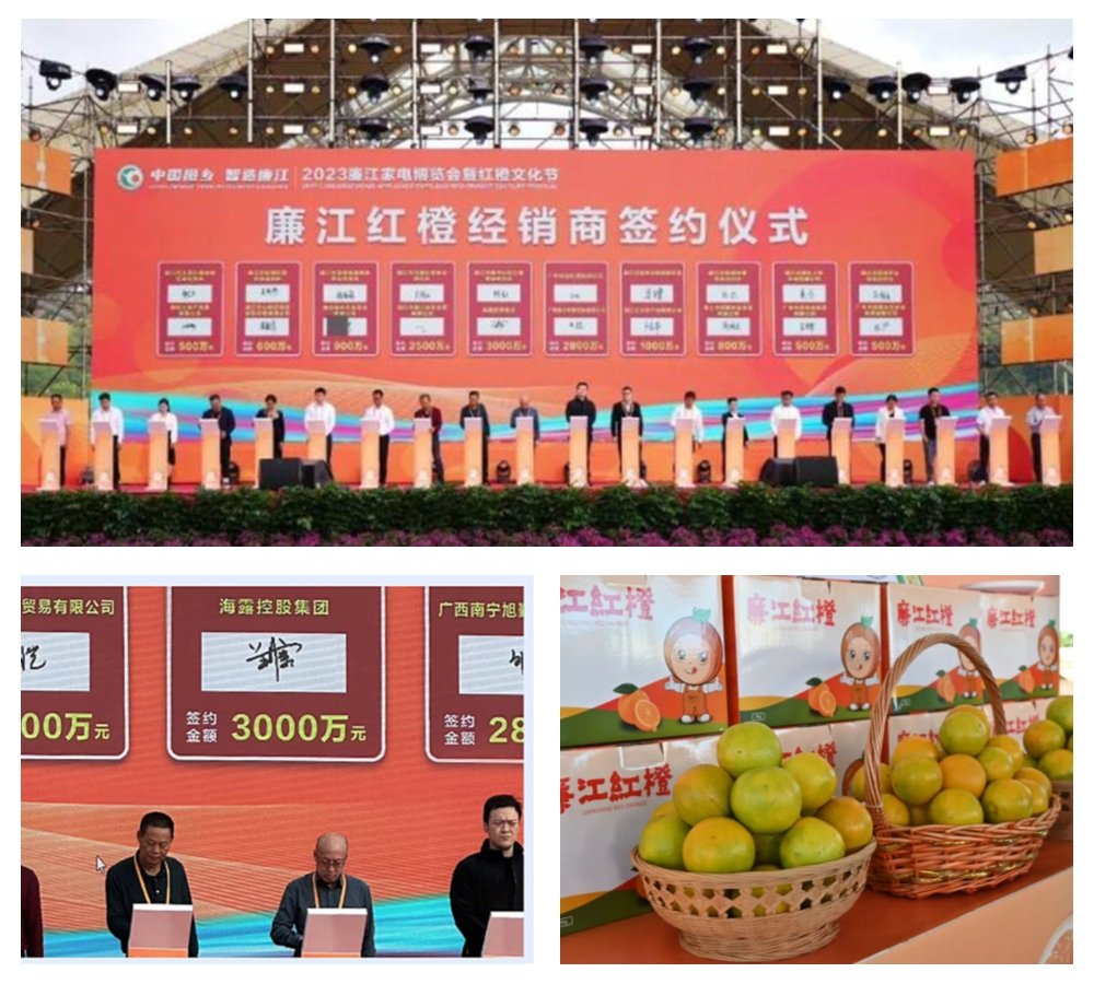 南宫电竞-不凡成就非凡,相信品牌的力量