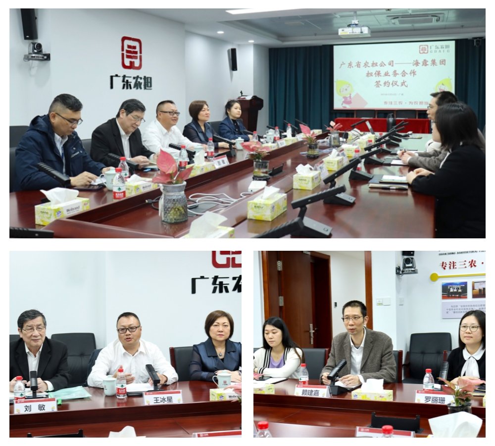南宫电竞-不凡成就非凡,相信品牌的力量