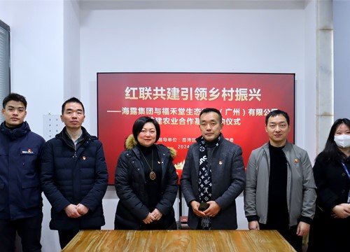 红联共建引领村落振兴，党建促业务深度融合