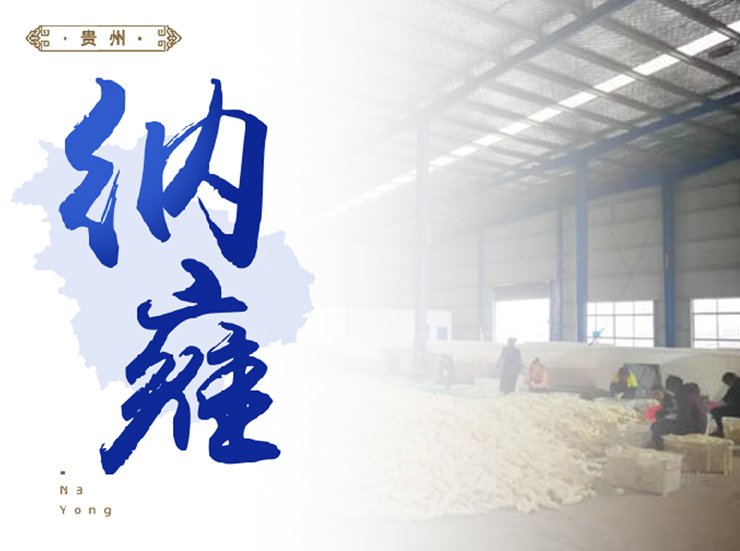 南宫电竞-不凡成就非凡,相信品牌的力量
