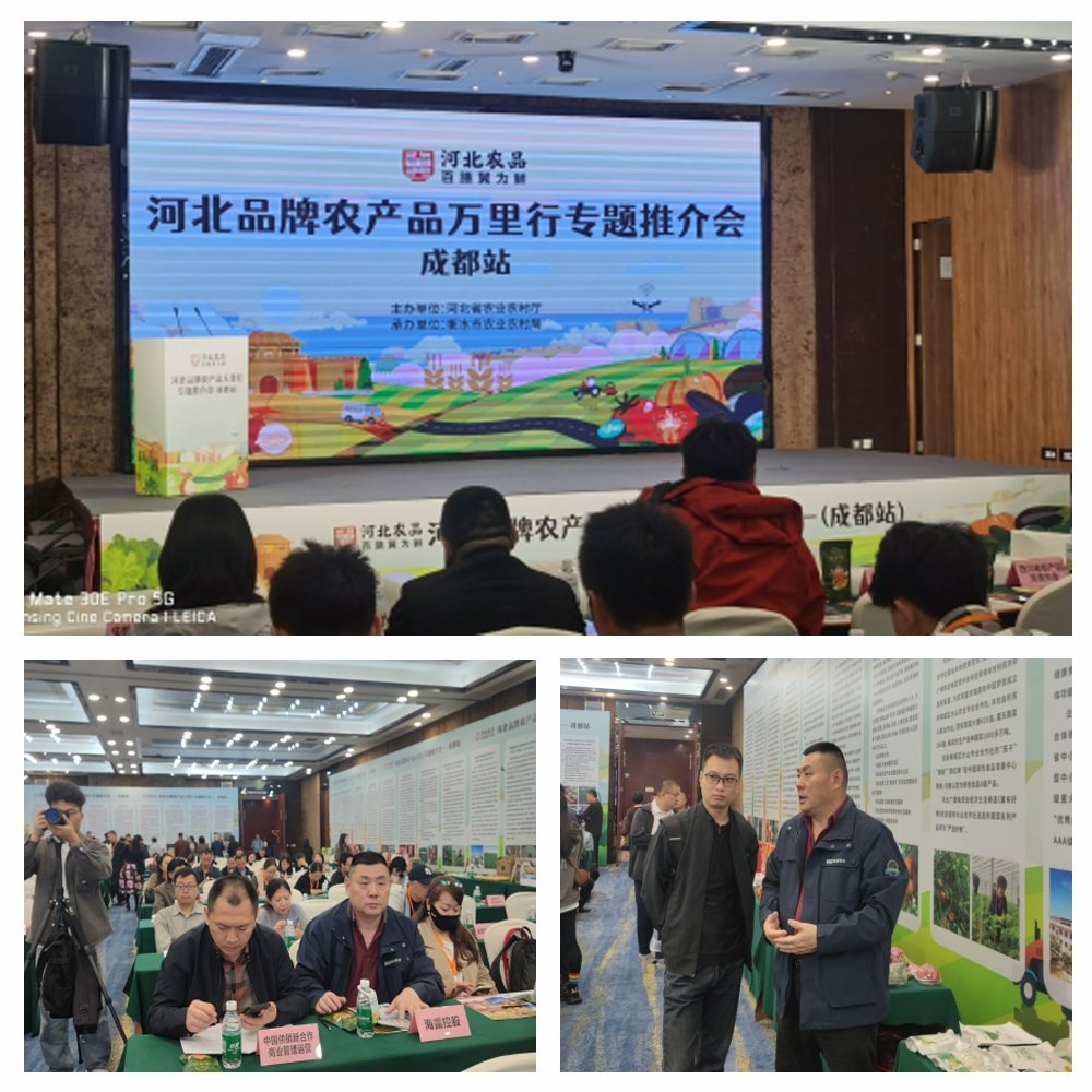南宫电竞-不凡成就非凡,相信品牌的力量