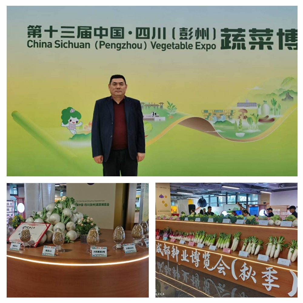 南宫电竞-不凡成就非凡,相信品牌的力量