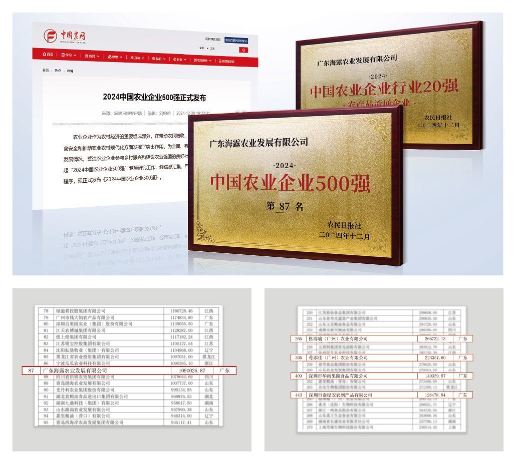 1-2412240943523B 南宫电竞-不凡成就非凡,相信品牌的力量