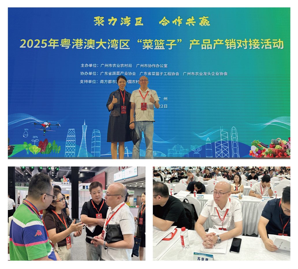1-250R611033C27 南宫电竞-不凡成就非凡,相信品牌的力量