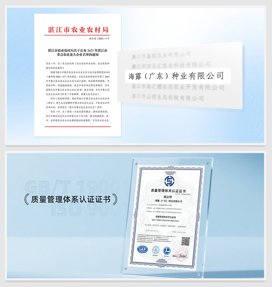 南宫电竞-不凡成就非凡,相信品牌的力量