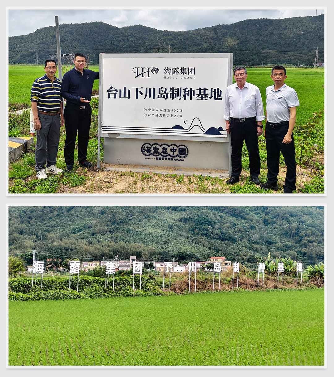 南宫电竞-不凡成就非凡,相信品牌的力量